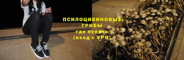 трава Аркадак