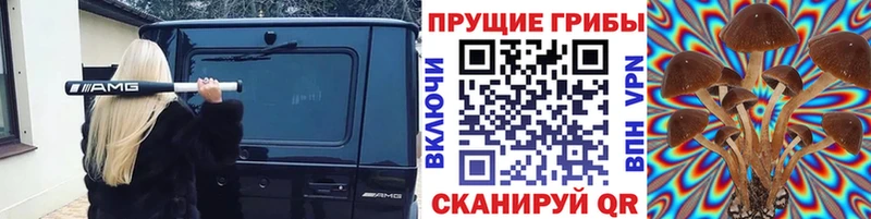 купить   Сатка  Псилоцибиновые грибы MAGIC MUSHROOMS 